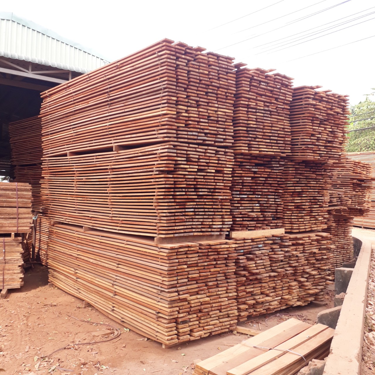 gỗ làm nhà yến